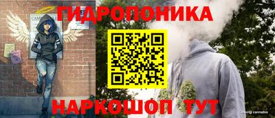 хмурый Вышний Волочёк