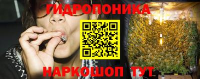 альфа пвп Владикавказ