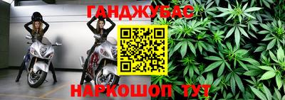 альфа пвп Владикавказ