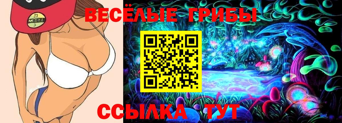 Галлюциногенные грибы GOLDEN TEACHER  Вход с VPN  Галлюциногенные грибы ЛСД  Батайск 